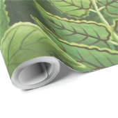 ルソー熱帯ジャングルリオン絵を描ズ ラッピングペーパー (ロールコーナー)