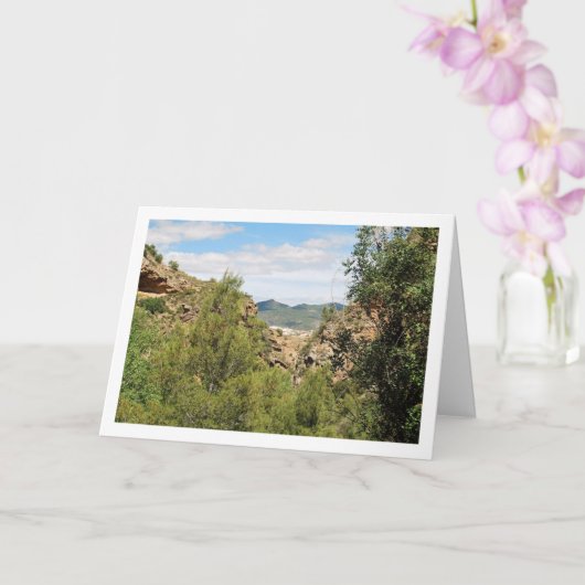 ルタ・デル・アグア・マウンテンビュー, チェルバ, バレンシア カード (蘭)