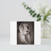 ルッカ ポストカード (スタンド正面)