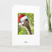 ©ルッキングおもしろいオストリッカスタムチサンタ シーズンカード (裏面)