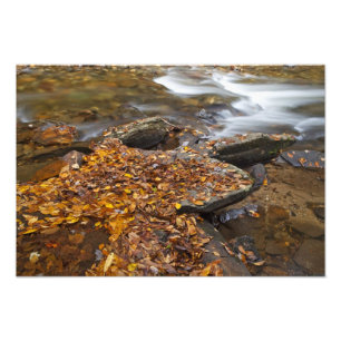 ルッキンググラス川沿いの紅葉 フォトプリント