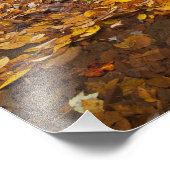 ルッキンググラス川沿いの紅葉 フォトプリント            (角)