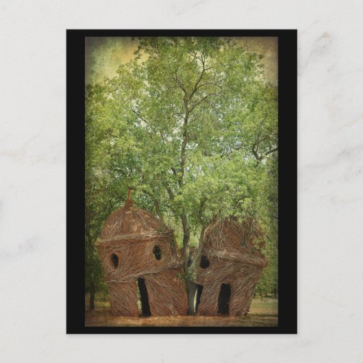 .:：ルックアウトツリー：:. ポストカード (正面)