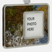 ルックアップ紅葉II秋自然 シルバープレートフレームオーナメント (右)