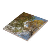 ルックアップ紅葉II秋自然 タイル (側面)