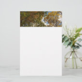 ルックアップ紅葉II秋自然 便箋 (スタンド正面)