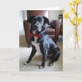 ルックインファブ カード (黄色い花)