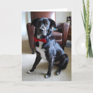 ルックインファブ カード