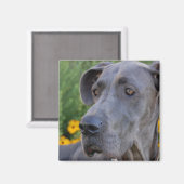 ルックイン磁かわいらし石 マグネット (正面/裏面)