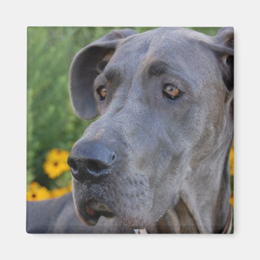 ルックイン磁かわいらし石 マグネット (正面)