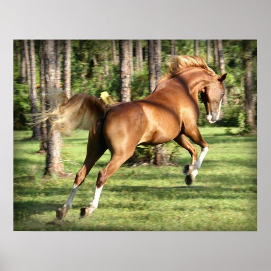 ルックイールー有おもしろい ポスター (正面)