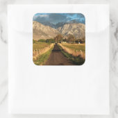 ルッケンキャニオンロード スクエアシール (バッグ)