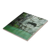 ルツェルンのライオン記念碑 タイル (側面)