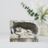 ルツェルン・ライオンモニュメント ポストカード (スタンド正面)