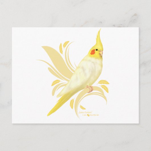 ルティーノコッカティエル ポストカード (正面)