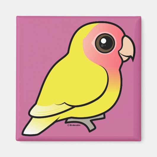 ルティーノピーチラブバード マグネット (正面)