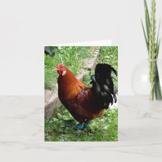 ルディ カード (正面)