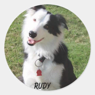 ルディ ラウンドシール