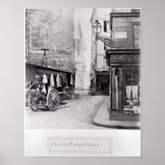 ルデラモンタニュサントジェネヴィエーヴ ポスター (正面)