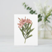 ルドゥーテによるローズマリー（Nerium 属） ポストカード (スタンド正面)