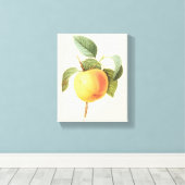 ルドゥートのカリーヴィル・アップル、ヴィンテージ果物食品 キャンバスプリント (インサイチュ (ウッドフロア))