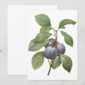 ルドゥートのプルーンの庭への招待 (正面/裏面)