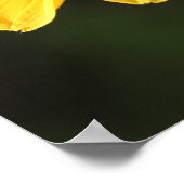 ルドベキアデイジー ポスター (角)