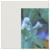 ルドベキア黒目スサンスの写真 ファブリック (クローズアップ)