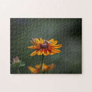 ルドベッキア シッティング プリティ パズル