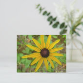 ルドベッキーヘリセ ポストカード (スタンド正面)