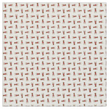 ルドルフの材料