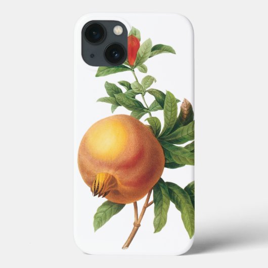 ルドルフィによるビンテージ食品の果物、ざくろ Case-Mate iPhoneケース (裏面)