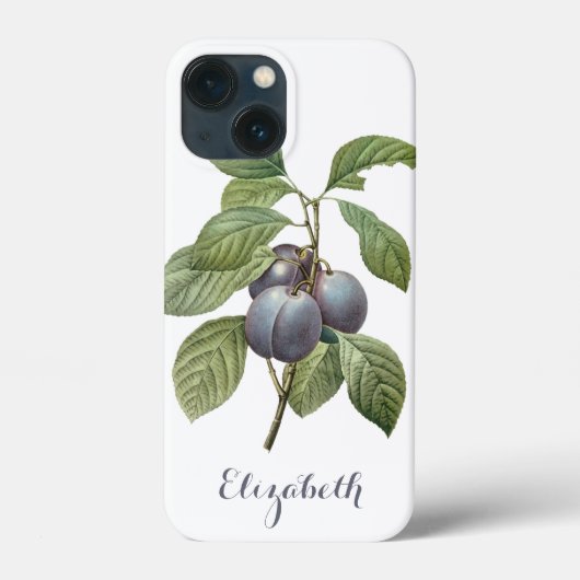ルドルフィによるヴィンテージ食品の果物、紫のプラム Case-Mate iPhoneケース (裏面)