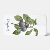 ルドルフィによるヴィンテージ食品の果物、紫のプラム Case-Mate iPhoneケース (裏面 (横))