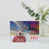 ルドルフ・ザ・シベ ポストカード (スタンド正面)