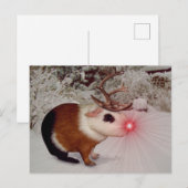 ルドルフ・ザ・レッド・ノーズ・ギニア・ピグ シーズンポストカード (正面/裏面)