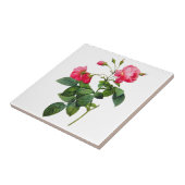 ルドートバラ タイル (側面)