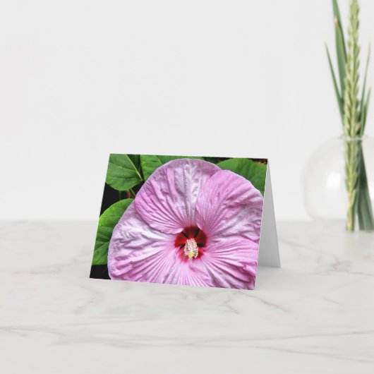 ルナの赤面 カード (正面)