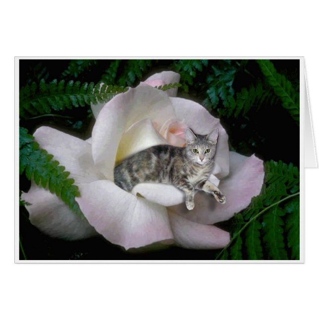 ルナは上がりました (正面横)