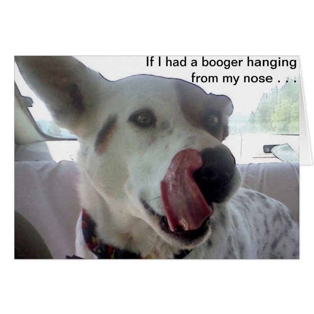 ルナは私がBoogerを私の鼻からつるすことを有したかどうか言いますか。 (正面横)