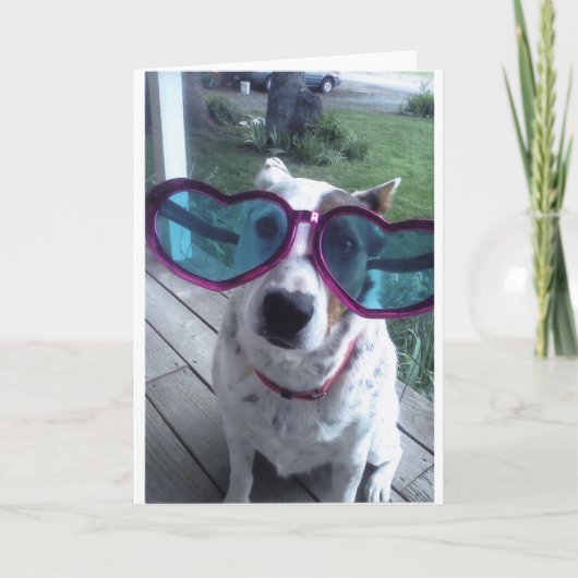 ルナは"悪い毛日を言いますか。 得て下さいより大きいガラスを" カード (正面)