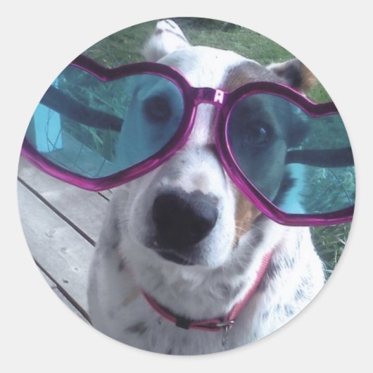 ルナは「髪の毛の悪い日？もっと大きな眼鏡を» ラウンドシール (正面)