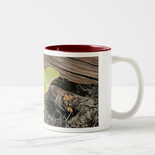 ルナガのコーヒー・マグ ツートーンマグカップ (右)