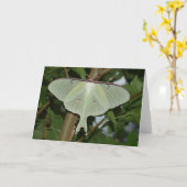 ルナガ カード (黄色い花)