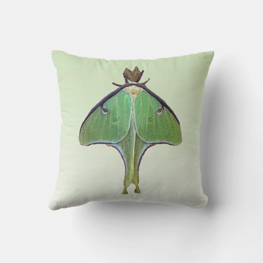 ルナガ クッション (裏面)