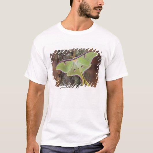 ルナシルクモス Tシャツ (正面)