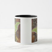 ルナシルク蛾 マグカップ (中央)