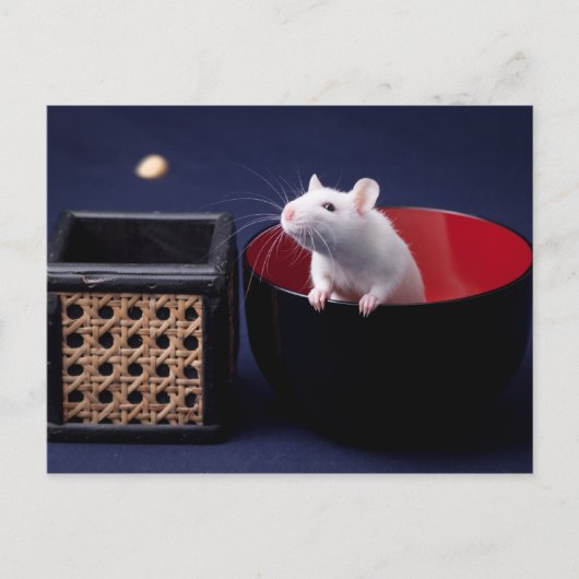 ルナテーブルはがき ポストカード (正面)