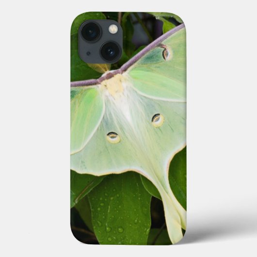 ルナモスにカーナビー クレマチス Case-Mate iPhoneケース (裏面)