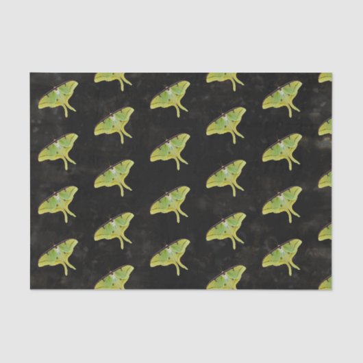 ルナモスのカラー鮮やかアートワーク 薄葉紙 (正面)